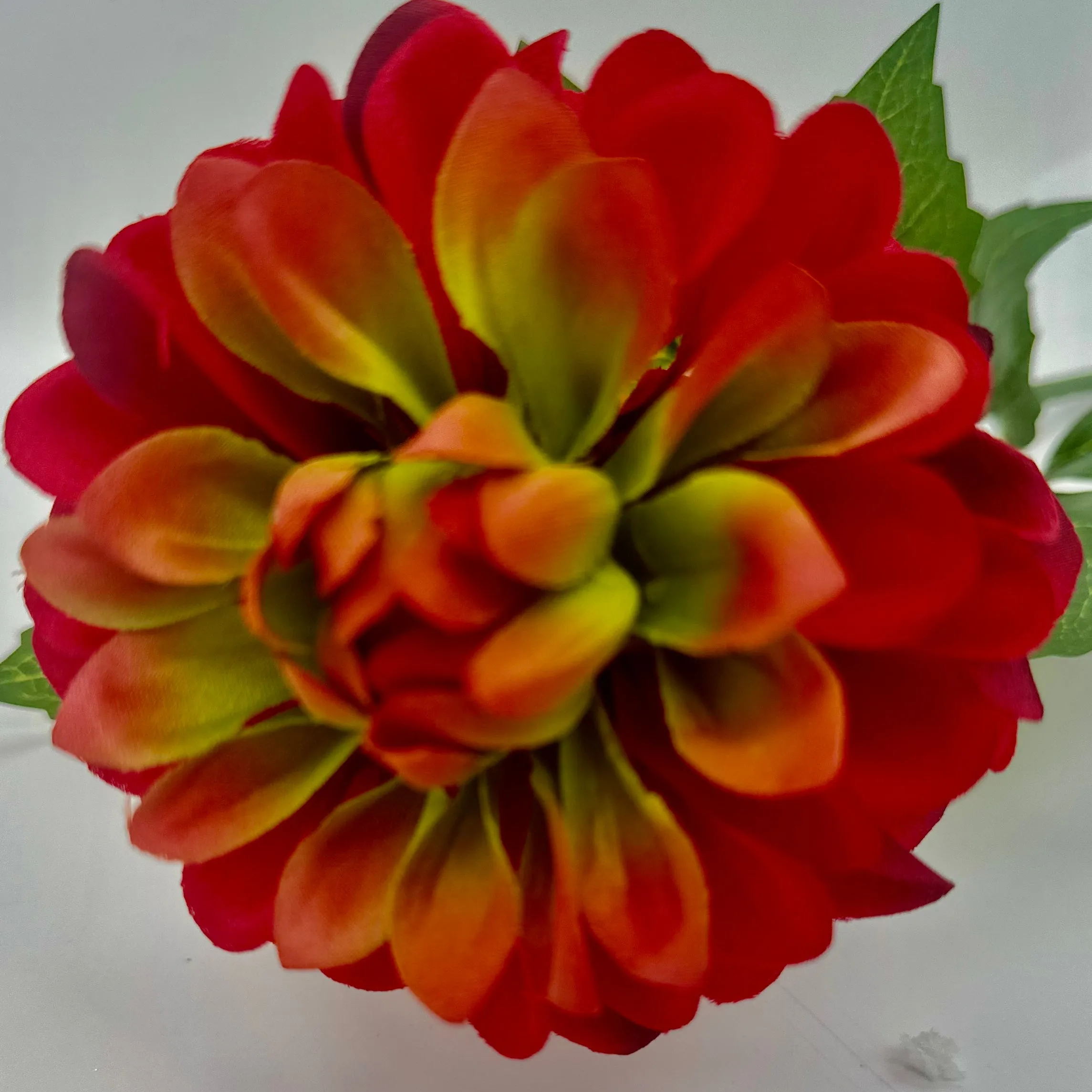 22" Crimson Dahlia Stem