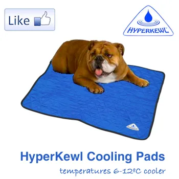 HALF PRICE CLEARANCE HyperKewl Dog Cooling Mat