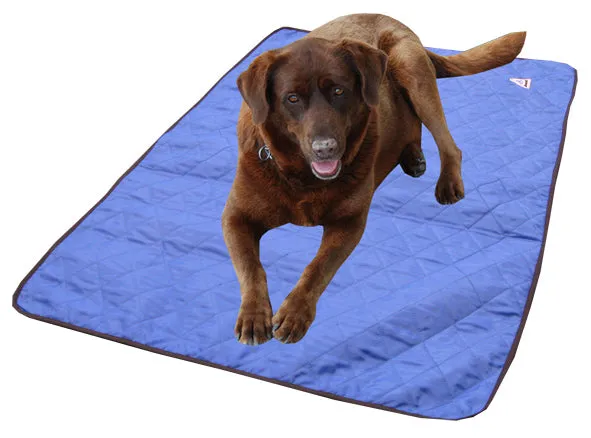 HALF PRICE CLEARANCE HyperKewl Dog Cooling Mat