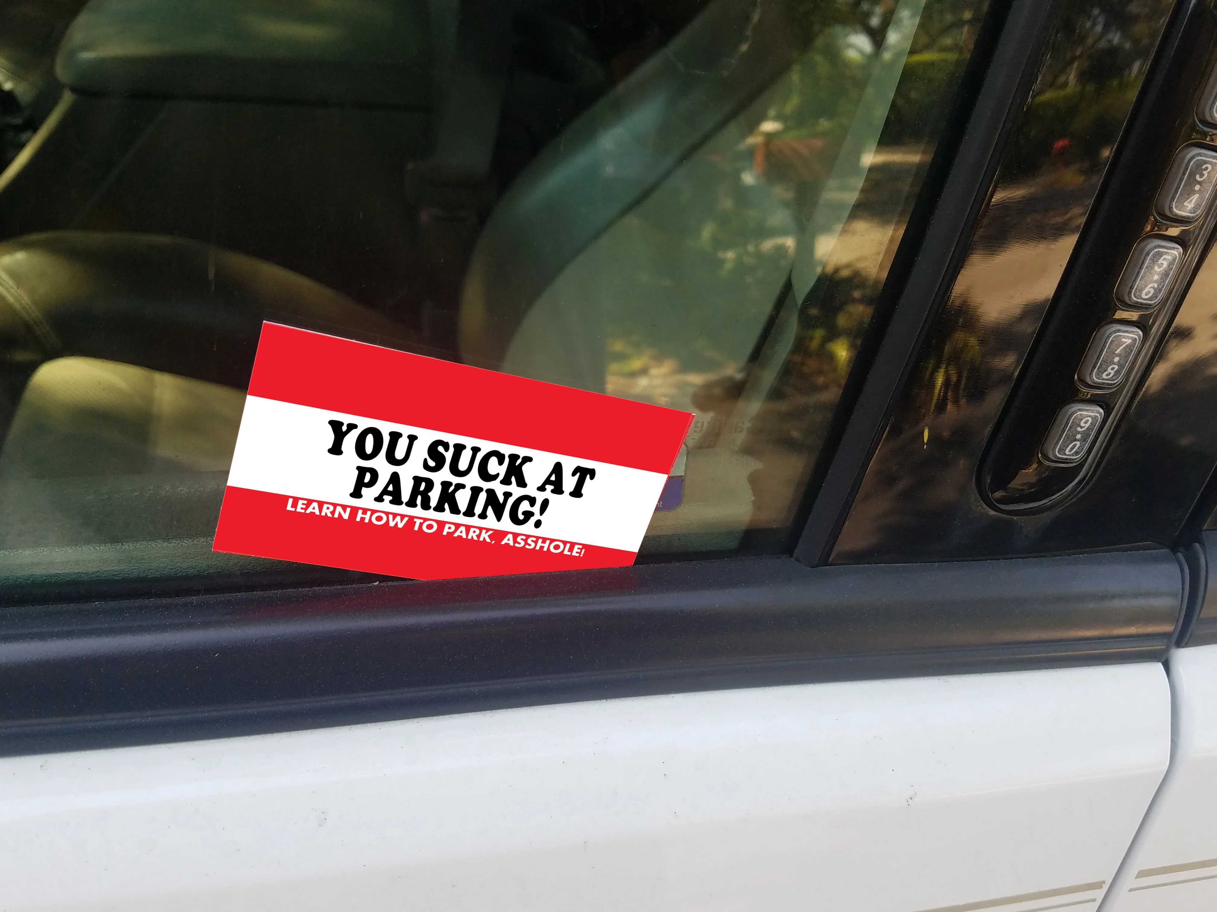 You Suck at Parking Cards - 25 cards Business Card Size